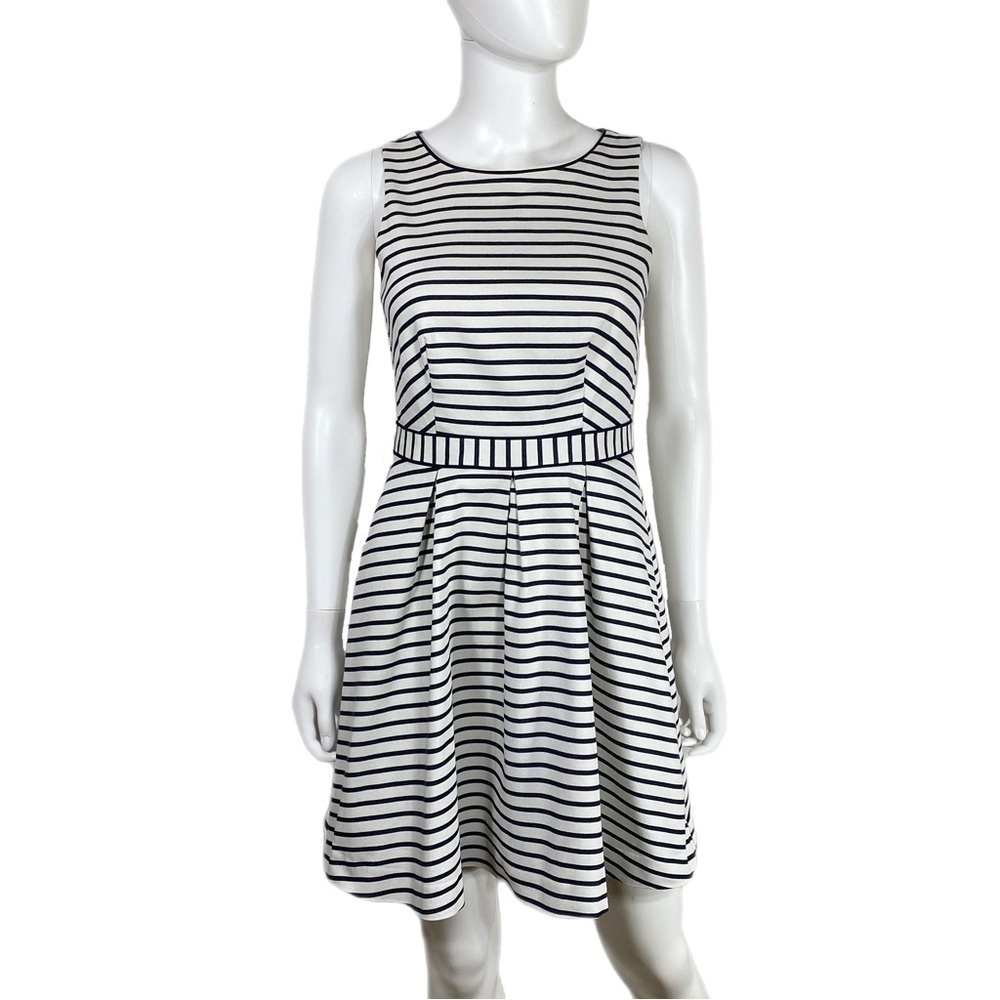 The Limited Navy Blue & White Canvas Twill Fit & Flare Pleated Dress